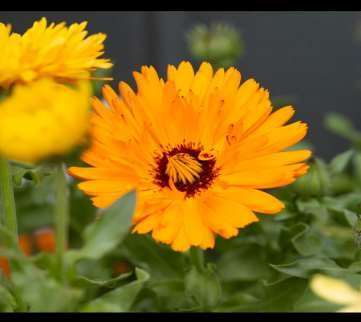 Generic placeholder image